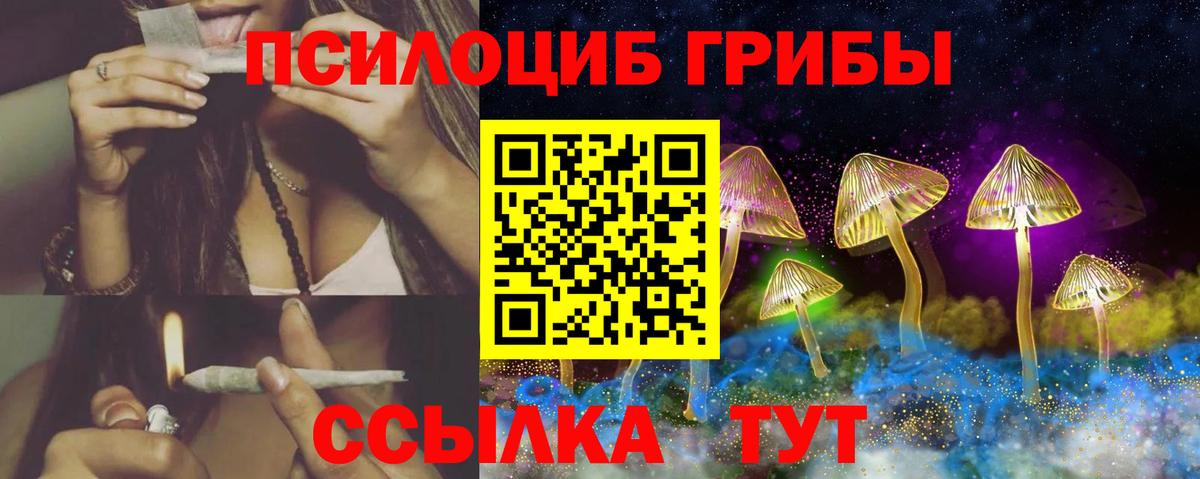 Псилоцибиновые грибы Psilocybe Владивосток