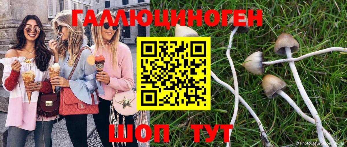 Владивосток  Галлюциногенные грибы мухоморы  Галлюциногенные грибы MAGIC MUSHROOMS  Вход с VPN 